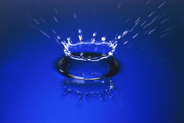 gota